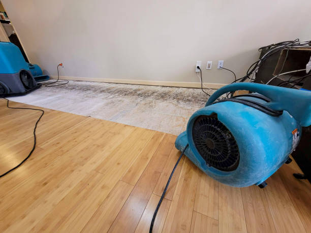 Professional Water Removal technician working in Minturn, CO